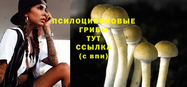 эйфоретик Магас