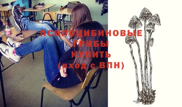 прущая мука Магадан